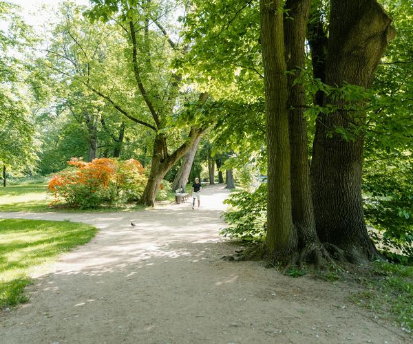 Man performing a strength exercise in a bright, clean environment.